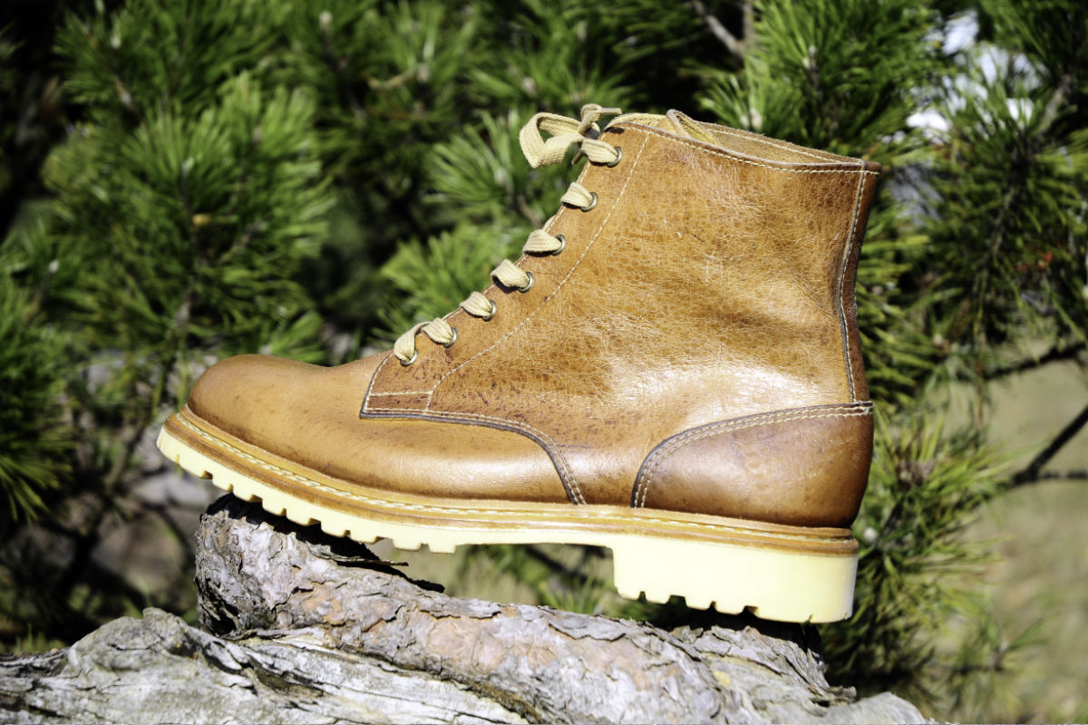 Namibia - bota do Africké savany.