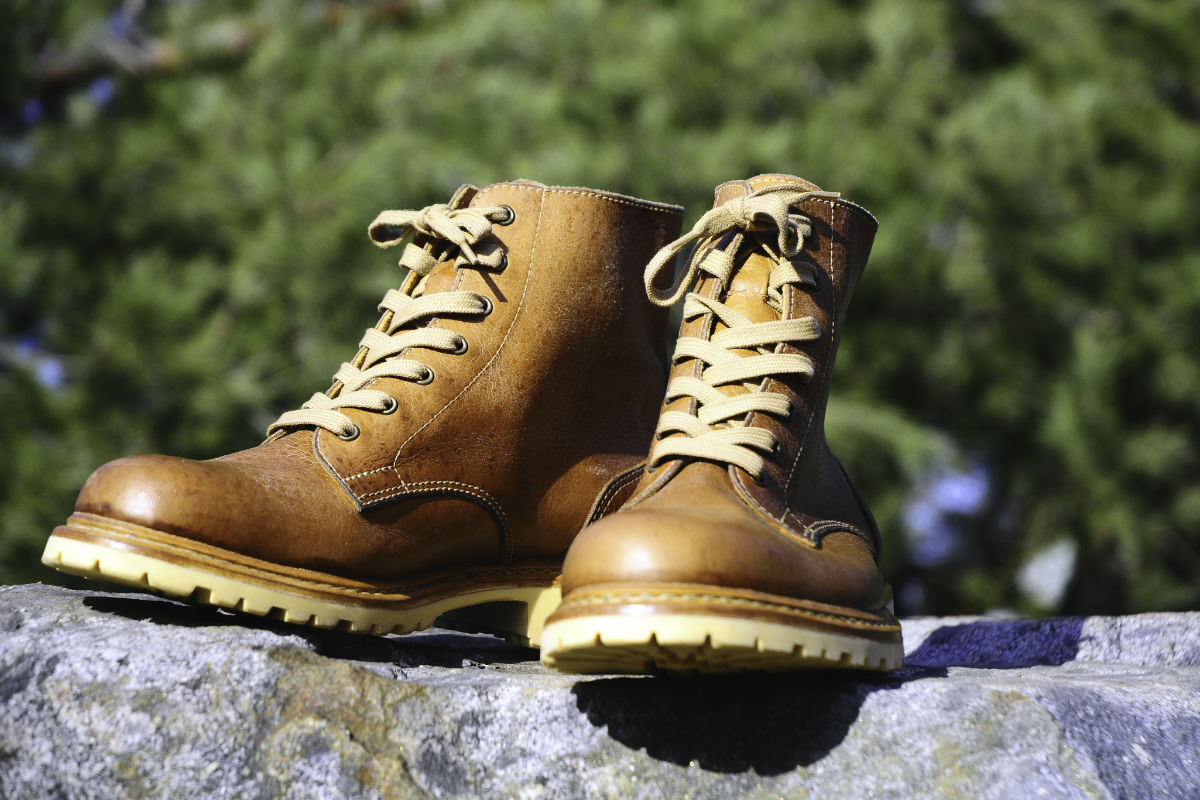 Namibia - bota do Africké savany.