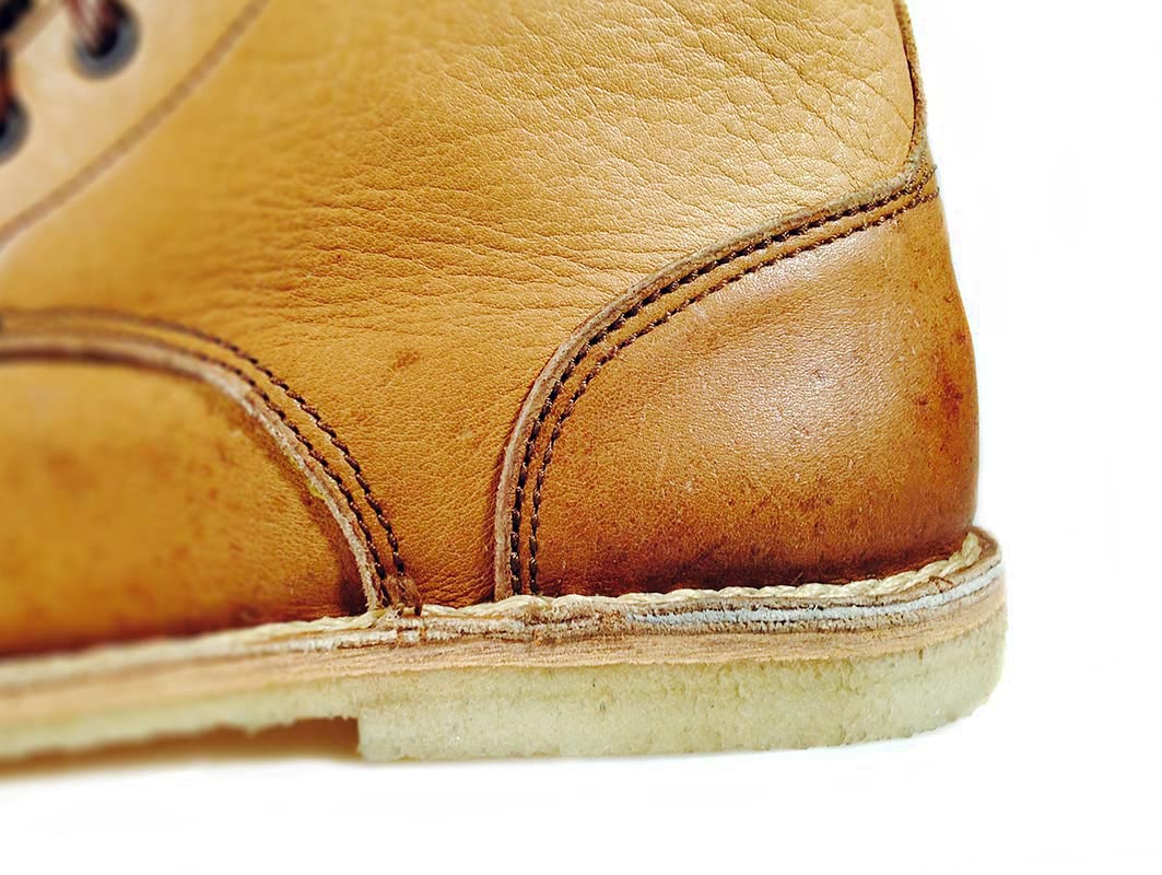 Namibia - bota do Africké savany.