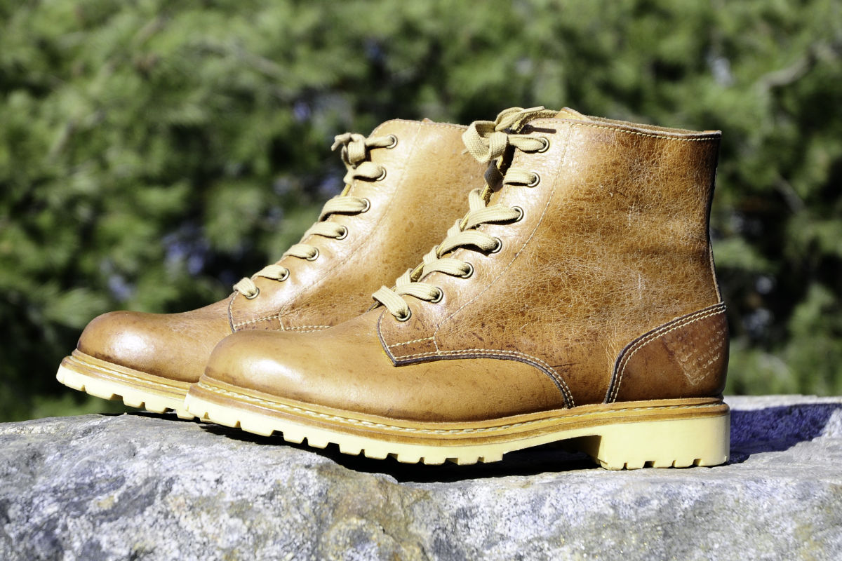 Namibia - bota do Africké savany.